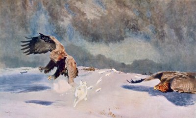 Águilas y Conejo, 1922 de Bruno Andreas Liljefors